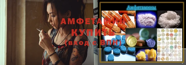 прущие грибы Новозыбков