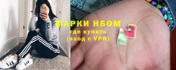 прущие грибы Новозыбков