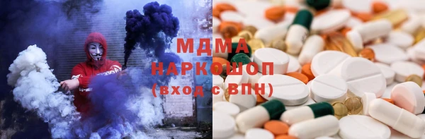 прущие грибы Новозыбков