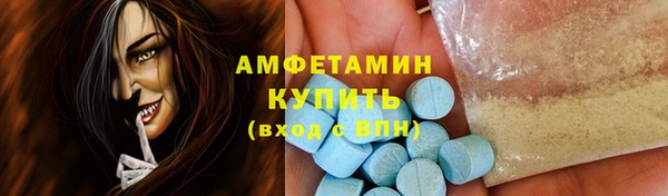 прущие грибы Новозыбков