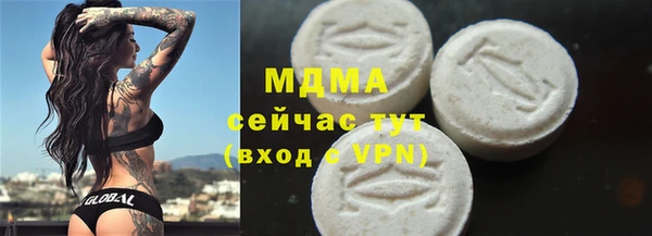 прущие грибы Новозыбков