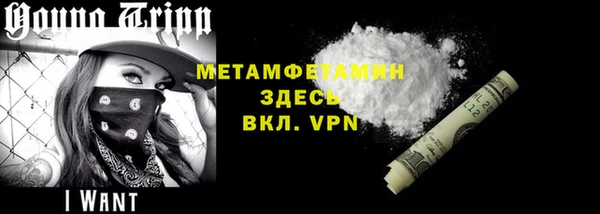 прущие грибы Новозыбков