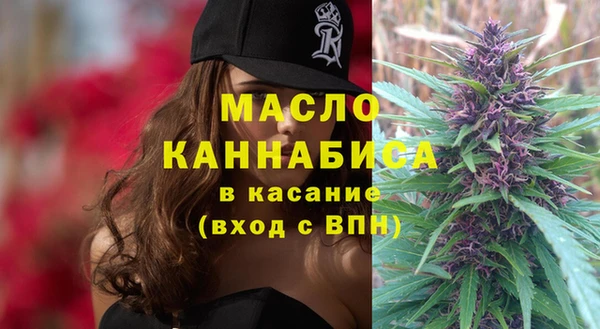 прущие грибы Новозыбков