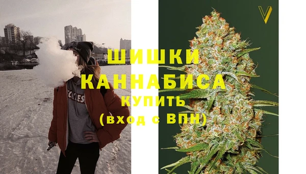 соль ск Новодвинск