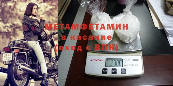 прущие грибы Новозыбков