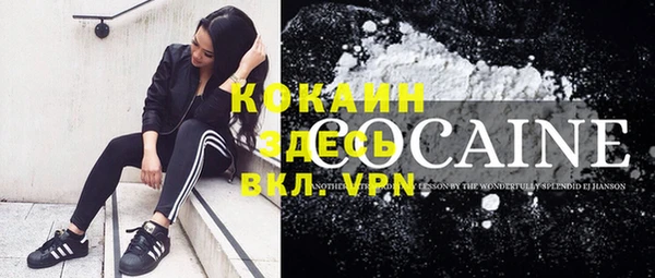 соль ск Новодвинск