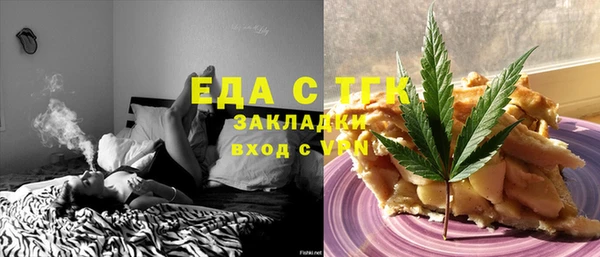 прущие грибы Новозыбков