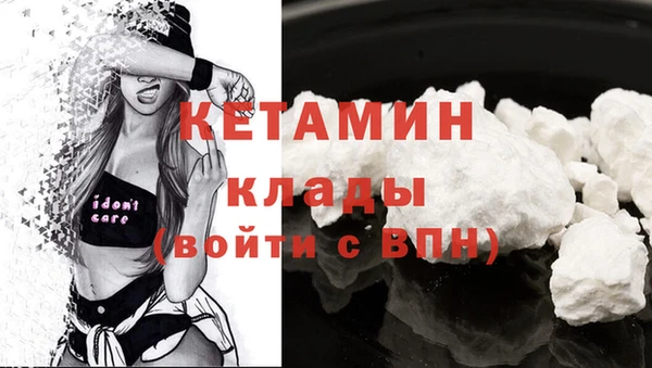 соль ск Новодвинск