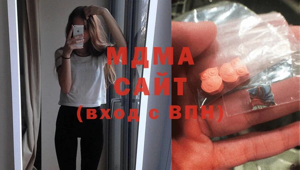 прущие грибы Новозыбков