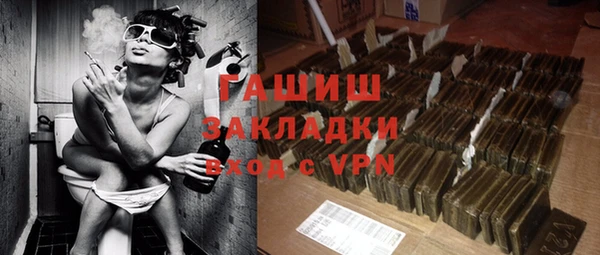 прущие грибы Новозыбков