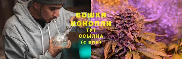 стаф Билибино