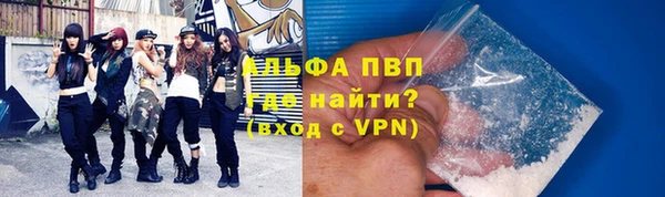 прущие грибы Новозыбков