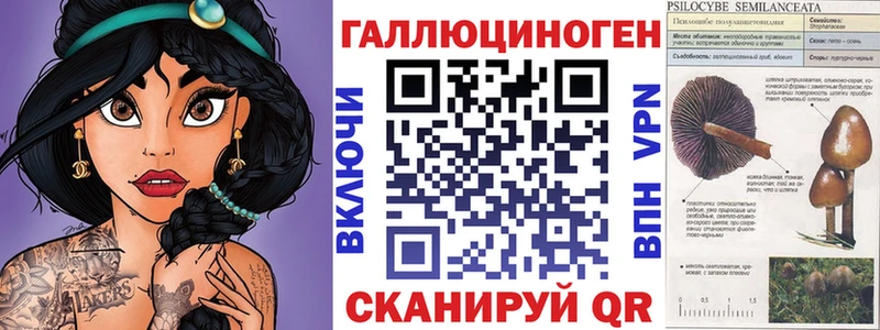 магазин продажи наркотиков  Сунжа  Галлюциногенные грибы прущие грибы 