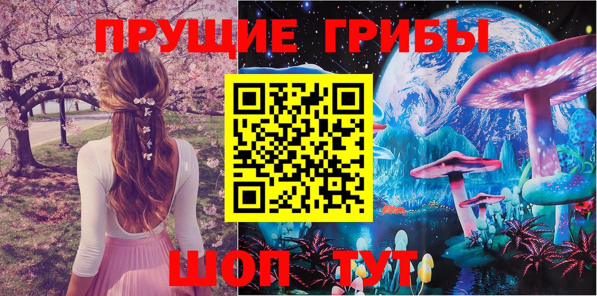 Галлюциногенные грибы Psilocybine cubensis Сунжа
